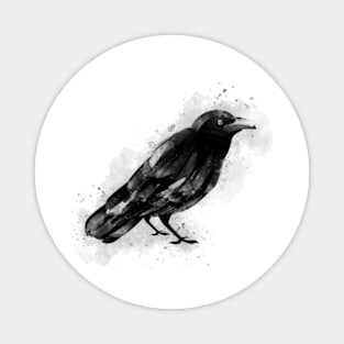 Watercolor Raven Magnet